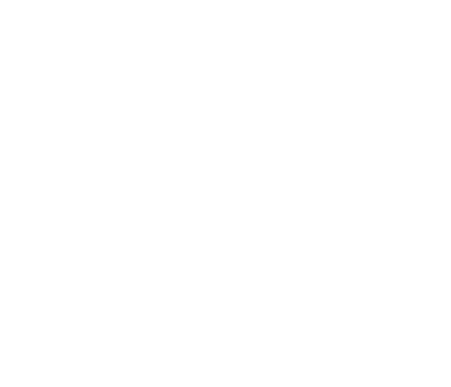 elvest_logo_transparent-2